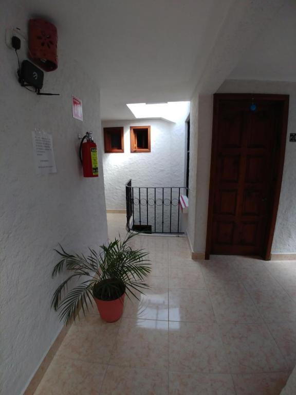 Hotel Real Del Carmen - Ideal Para Familias Y Parejas San Cristóbal de Las Casas Zewnętrze zdjęcie